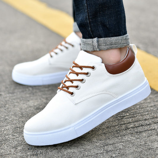 Men's Canvas Shoes